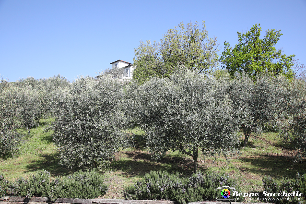 VBS_7142 - PressTour educational dedicato ai vini del Pinerolese e all’olio prodotto sulla collina di Pinerolo.jpg